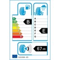 Goodyear EFFICIENTGRIP DACIA 205/55 R16 91H